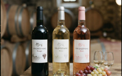 Vin d’Estaing : Histoire, terroir, cépages et gastronomie d’une appellation confidentielle de l’Aveyron