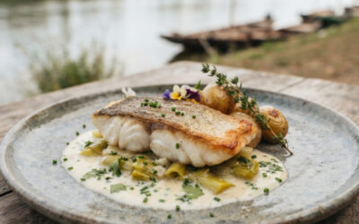 Le sandre de Loire, un poisson venu d’ailleurs devenu emblème de la gastronomie ligérienne