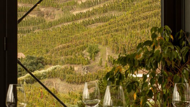Restaurant Les gagères tupins et semons salle interieur panorama