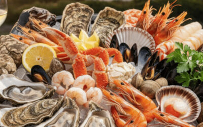 Embarquez pour une odyssée marine : Votre guide des fruits de mer est là !