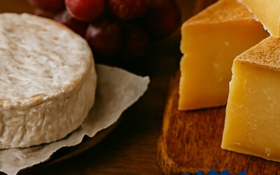 AOP vs. IGP : comprendre les labels de qualité et l’histoire du terroir français