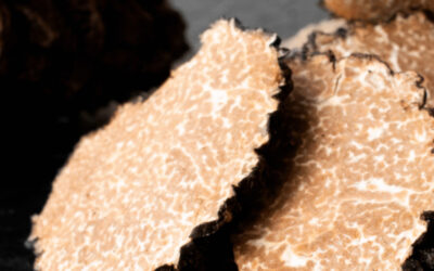 Le vrai rôle de la truffe en cuisine : Ne la gâchez plus, sublimez-la !