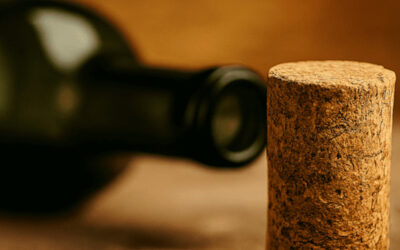 L’histoire secrète du bouchon : Pourquoi le liège a-t-il été l’ennemi du vin pendant un siècle ?