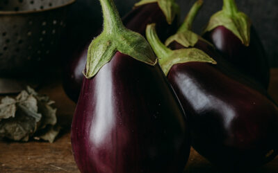 L’aubergine : Pourquoi ce joyau Méditerranéen a été longtemps détesté en France