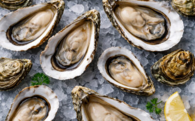Décryptage des huîtres françaises : calibres précis, histoire et secrets de dégustation