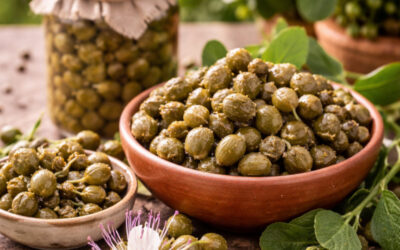 La câpre en France : Le petit bouton qui réveille la gastronomie Méditerranéenne