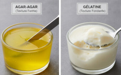 Gélatine ou agar-agar : L’erreur classique qui ruine vos desserts (et comment la corriger)