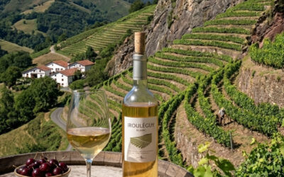 L’Irouléguy blanc : La force sauvage et l’élégance des cimes Basques