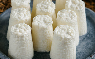 La brousse du Rove AOP : L’or blanc des collines de Provence