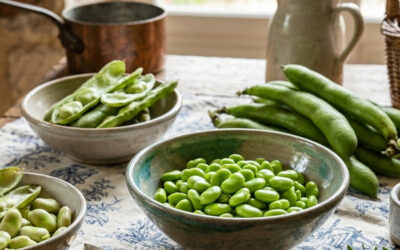 La fève : Le trésor vert du printemps, de la Pythie à l’assiette