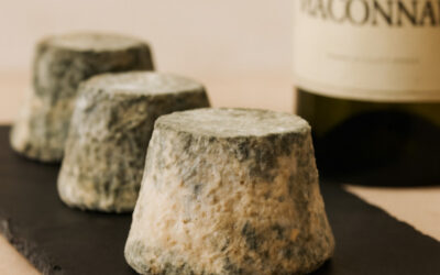 Le Mâconnais AOC : Le petit palet de chèvre qui a tout d’un grand