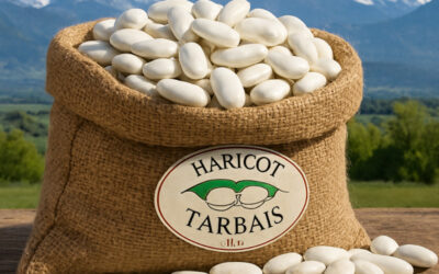 Le haricot Tarbais IGP : Le géant blanc des Pyrénées qui a conquis la gastronomie