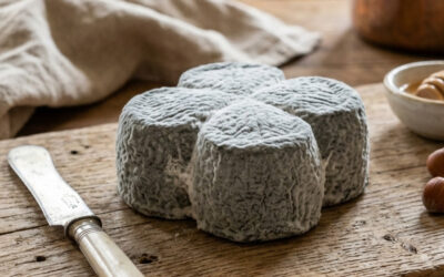 Le trèfle : Le porte-bonheur gastronomique du Berry et du Limousin