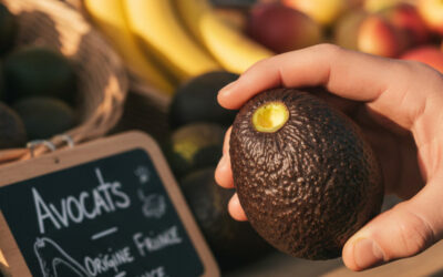 Comment choisir l’avocat parfait à tous les coups : Les secrets pour ne plus jamais se tromper