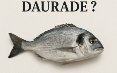 Dorade ou daurade ? L’erreur d’orthographe que 90% des Français commettent (et ce qu’elle cache)