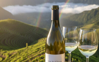 Découvrez le vignoble volcanique le plus haut de France à 10 000 km de Paris