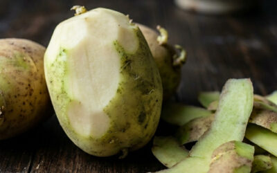 Est-ce que la pomme de terre verte est dangereuse ?