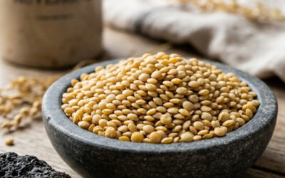 La lentille blonde de Saint-Flour : L’or des plateaux basaltiques