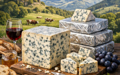 Le Carré d’Aurillac : L’excellence bleue du Cantal