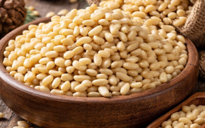 Le pignon de pin : L’or blanc du pin parasol