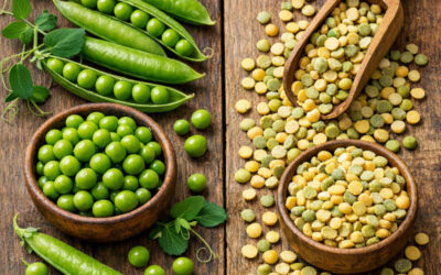 Quelle est la difference entre pois cassés et petits pois ?