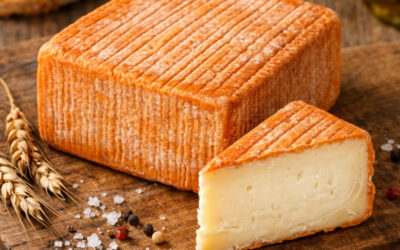 Le Carré de Vinage : L’audace d’un terroir entre Lille et la Lys